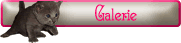 Galerie